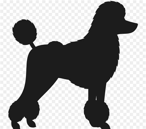 Free Standard Poodle Silhouette, Download Free Standard Poodle ...