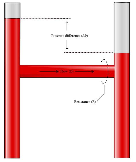 Physiology of pulmonary artery wedge pressure measurement | Deranged Physiology