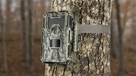 Best Trail Cameras for Awesome Photography