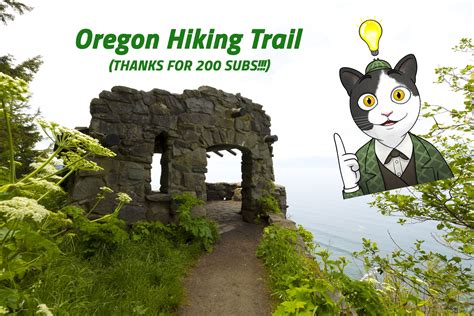 Oregon Coast Hiking Trail! - The Curio Cat