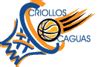 Aguada Santeros vs Criollos de Caguas - Puerto Rico Superior Nacional - Basketball - BsportsFan