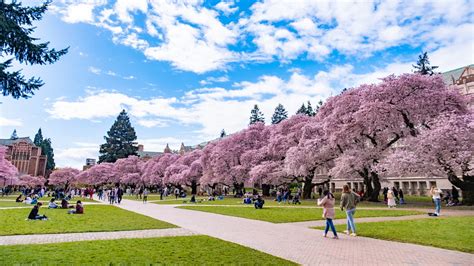 University of Washington ranks among most beautiful college campuses ...