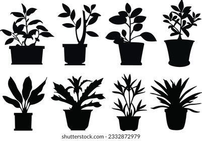 50,174 Potted Plant Silhouette Images, Stock Photos, 3D objects, & Vectors | Shutterstock