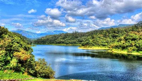 Valparai Trekking Lets You Embrace Nature's Serenity