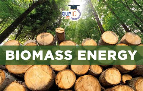 Biomass Energy, Sources, Advantages, Disadvantages, Challenges