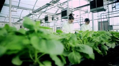 Agricultural Biotechnology: Accelerating Economic Opportunities in ...