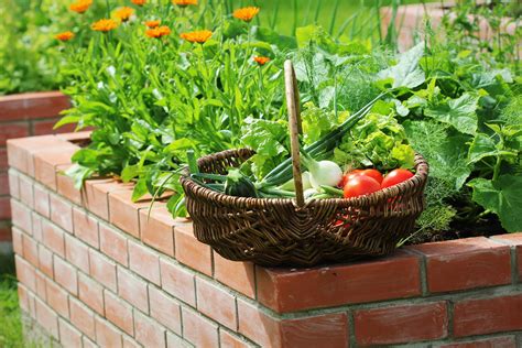 Making A Brick Raised Garden Bed | Kellogg Garden Organics™