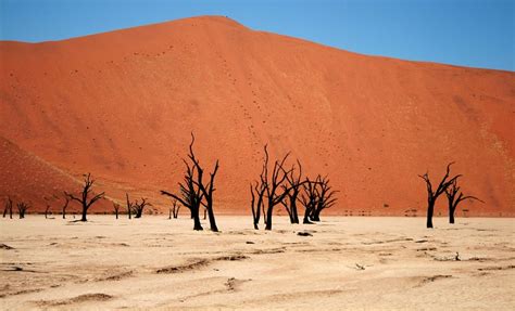 Namib Desert | | Alluring World