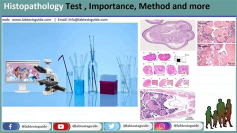 Everything You Need To Know About Histopathology - Lab Tests