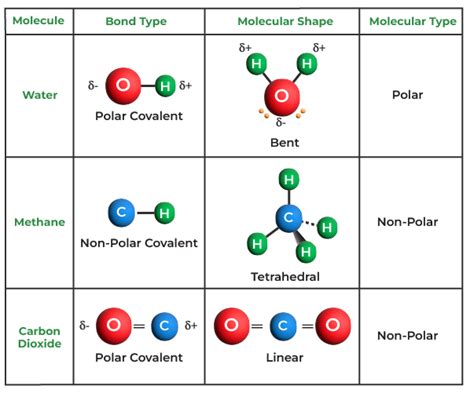 Covalent Bond - Definition, Examples, Types, Properties, & FAQs