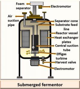 What is Acetic Acid Production? Definition, Process, Biosynthesis ...