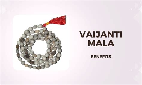 What is Vaijanti Mala for Japa Puja & Its Benefits