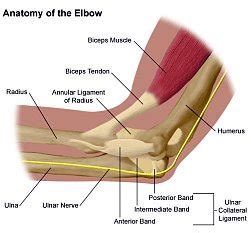 Elbow Sprain