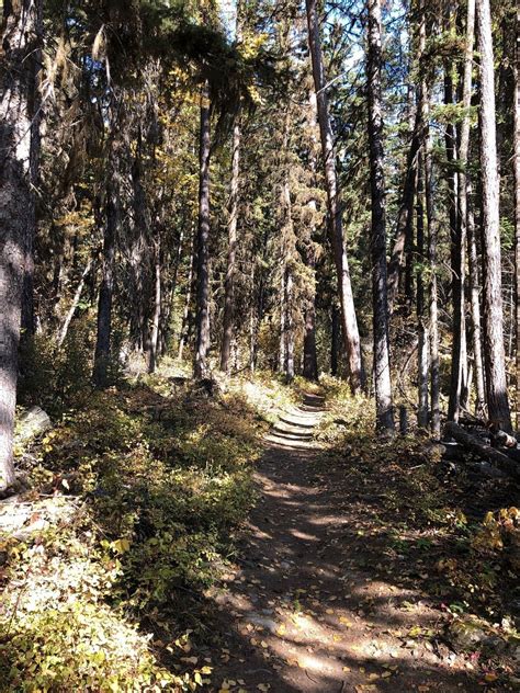 Photos of Bowman Lake Trail - Montana | AllTrails