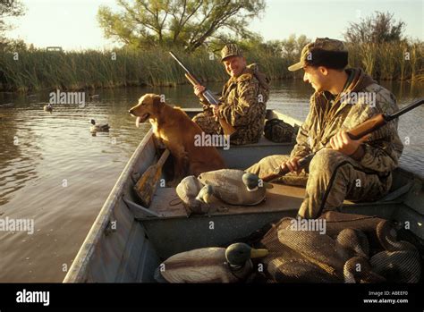 Men duck hunting in boat with Golden Retriever Stock Photo: 782064 - Alamy