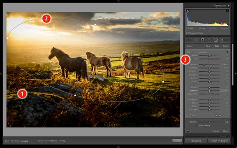 Add depth and drama with a vignette effect - Life after Photoshop