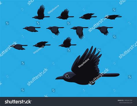 Crow Flying Motion Animation Sequence Cartoon Vector Illustration image vector | Crow flying ...