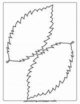 2 Leaves Of Elm Template  Free Printable Papercraft Templates sketch template