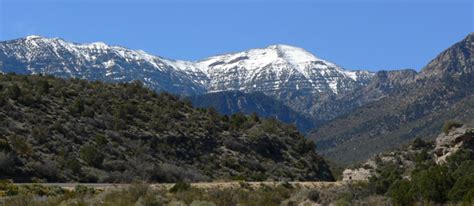 Mount Charleston Hiking Trails | Vegas4Visitors.com