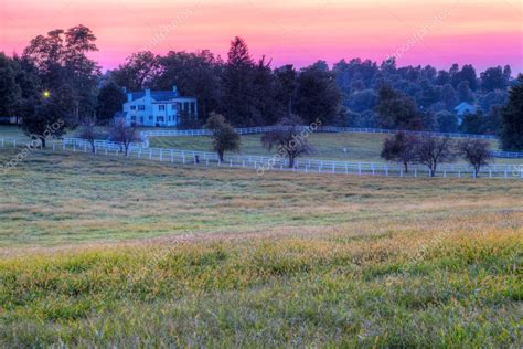 Horse Farm Sunset — Stock Photo © alexeys #9199411