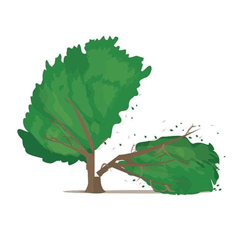 Earthquake House Clipart With Trees