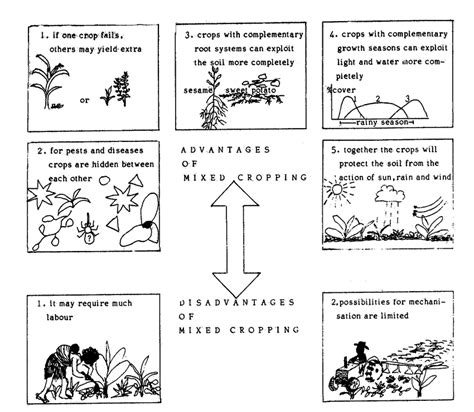 12 Advantages and disadvantages of mixed cropping. (or.). | Download Scientific Diagram