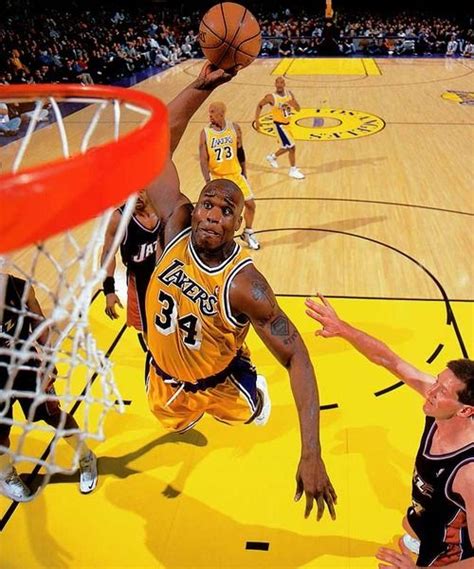 Log in | Tumblr | Shaquille o'neal, Shaq lakers, Nba