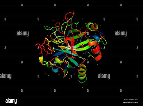 3D model of a protein molecule. The spatial oriented structure of the macromolecule Stock Photo ...