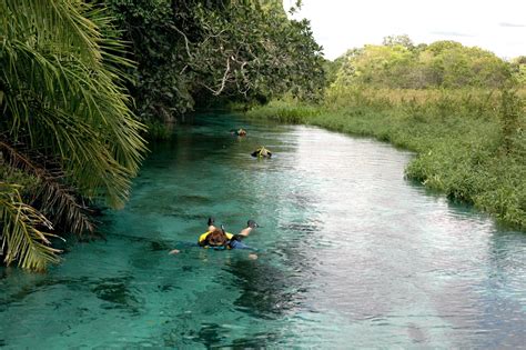 Flutuação Rio Sucuri - Passeios em Bonito | Do Brasil para o Mundo