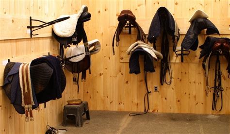 What Tack Do You Need for a Horse: Complete Guide | Helpful Horse Hints