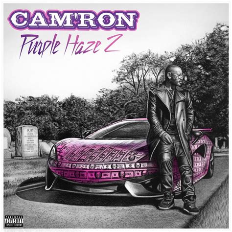 Here's Cam'ron 'Purple Haze 2' Tracklist feat. Wale, Max B, Jim Jones | HipHop-N-More