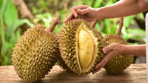 11 Buah Tropis Paling Populer di Indonesia | Mealy