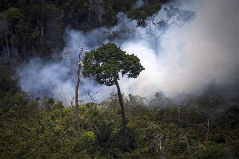 Concern Over Amazon Rainforest Fires Reaches Globe - Latino USA