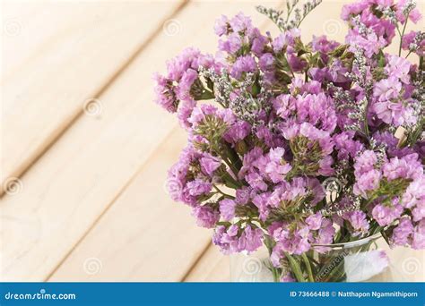 Statice flower bouquet stock photo. Image of dried, caspia - 73666488