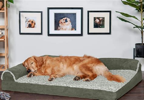 How to Choose a Luxury Dog Beds: The Ultimate Guide for Pet Owners ...