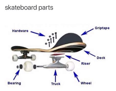 skateboard parts | Skateboarding tricks, Cool skateboards, Skateboard design