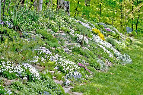 12 Hillside Landscaping Ideas to Maximize Your Yard