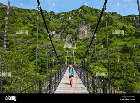 on the Gwaneumsa hiking trail to Hallasan on Jeju Island Stock Photo - Alamy