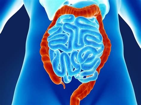 Understanding Gastrointestinal Disorders: Symptoms, Causes, and ...