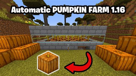 Building A AUTOMATIC Pumpkin Farm In MINECRAFT 1.16 - YouTube