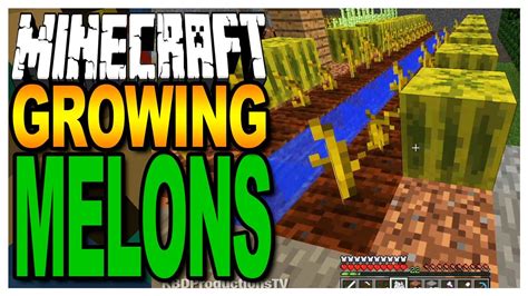 Minecraft -Growing Melons & Finding Seeds - YouTube