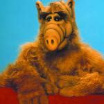 ALF Meme Generator - Imgflip