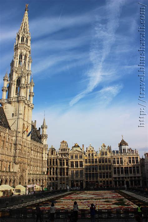 Brussels Flower Carpet (Brussels - Belgium) | My Travelogue