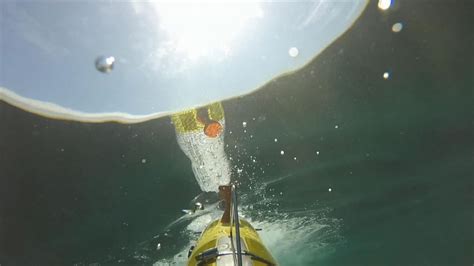 Researchers use underwater robot to better understand basking sharks in Scotland | UK News | Sky ...