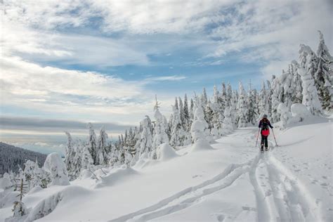 Skiing Up That Hill: How I Discovered the Power of Resilience in the Snow