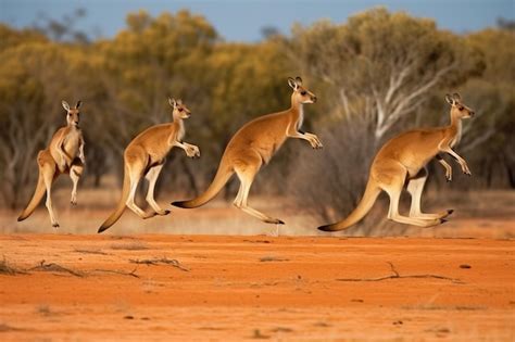 Premium AI Image | A group of kangaroos jumping through the outbac