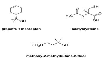 Sulfhydryl Group | Structure, Formula & Examples - Lesson | Study.com