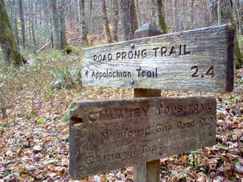 Chimney Tops Trail – Smokies Guide