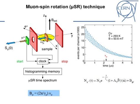 Tobias junginger low energy muon spin rotation and point contact tu…