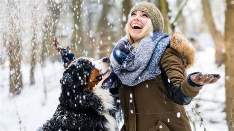 32 best dog breeds for cold climates